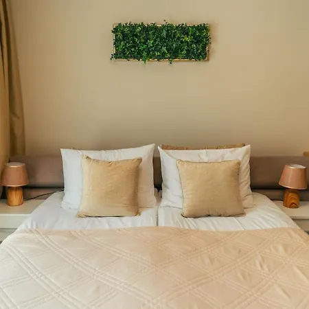 бутиково студио Joy-free Parking * بلوفديف